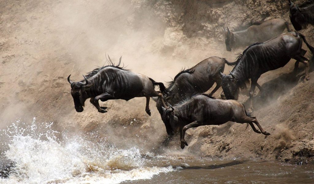 great migration