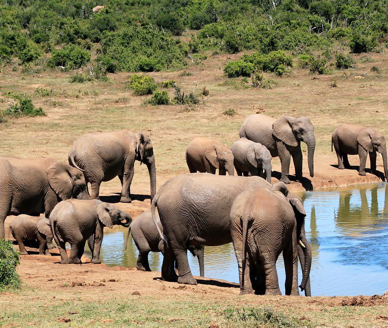 31921216546_83ffcf7a92_b Dressing for African Adventures: What to Wear on African Trips