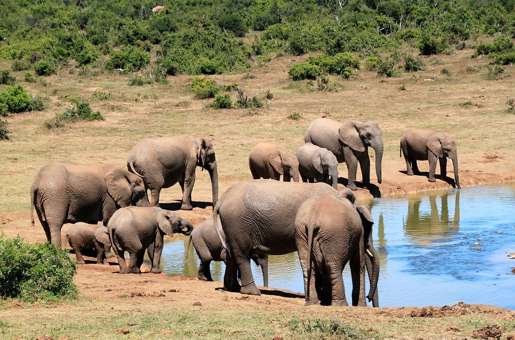 Dressing for African Adventures: What to Wear on African Trips