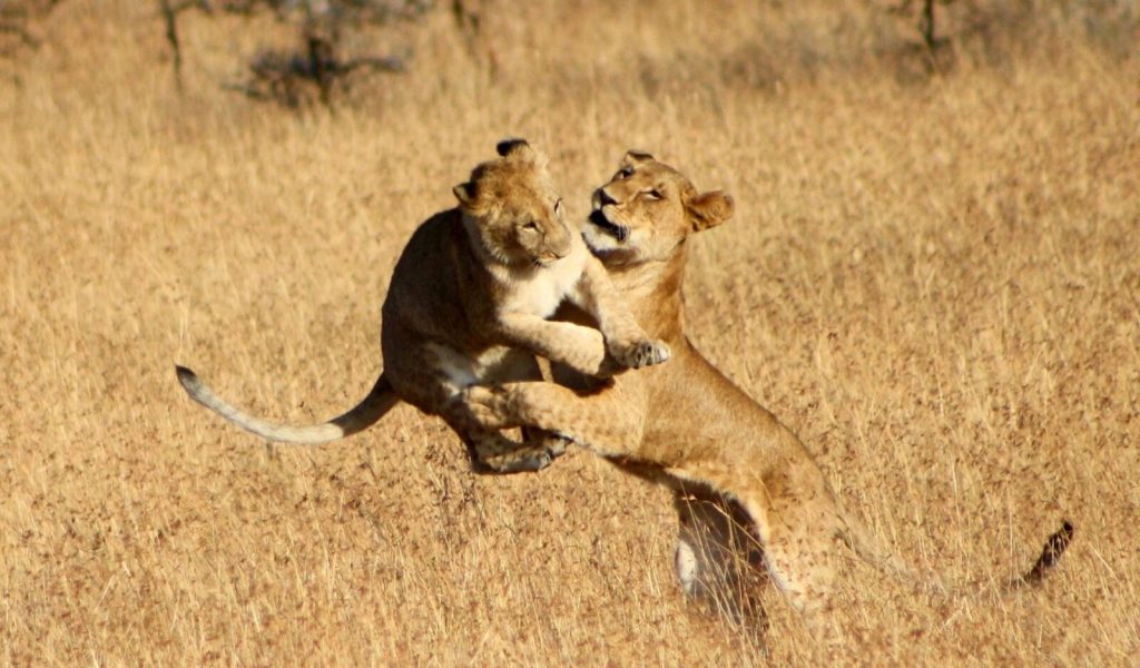 visit Tsavo National Park