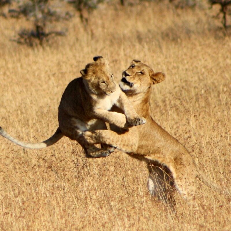visit Tsavo National Park