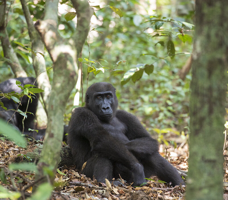 52502672352_098de77bf1_b 52502672352_098de77bf1_b