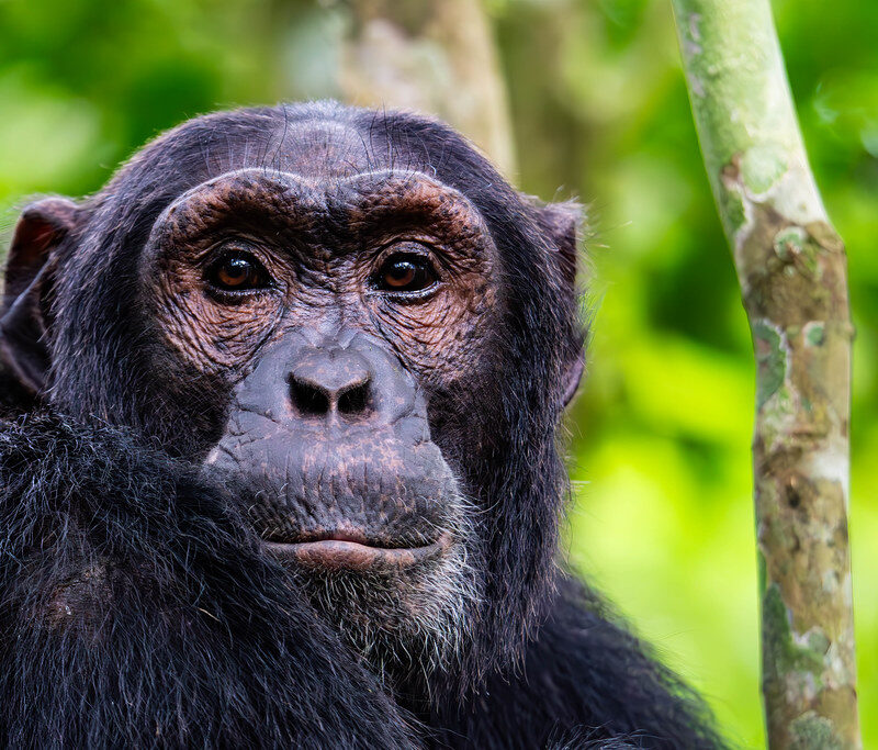 53271479596_7cd6b6770a_b 53271479596_7cd6b6770a_b