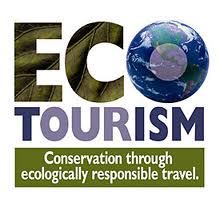 The Rise of Ecotourism in Africa: Balancing Conservation and Adventure