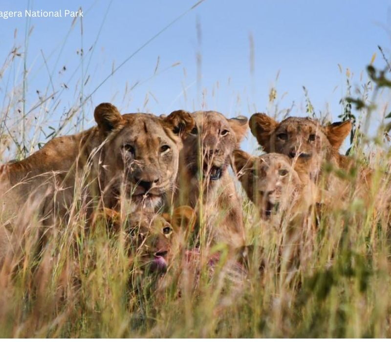 Top African Tour Destination of 2023-2024