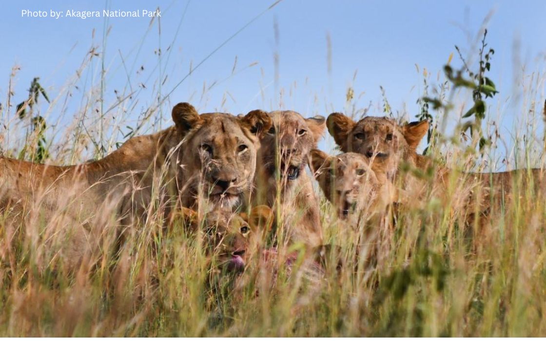 Top African Tour Destination of 2023-2024