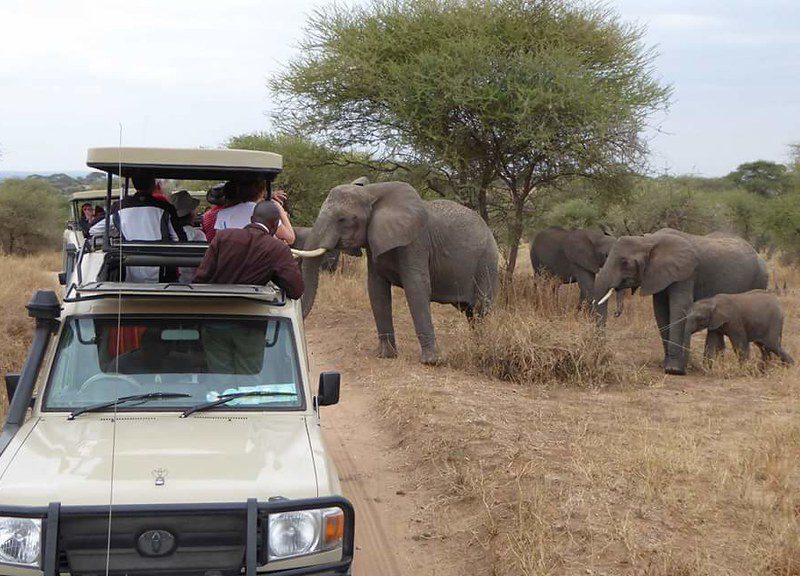 tanzania adventure safaris Best places to visit on Tanzania Adventure Safaris