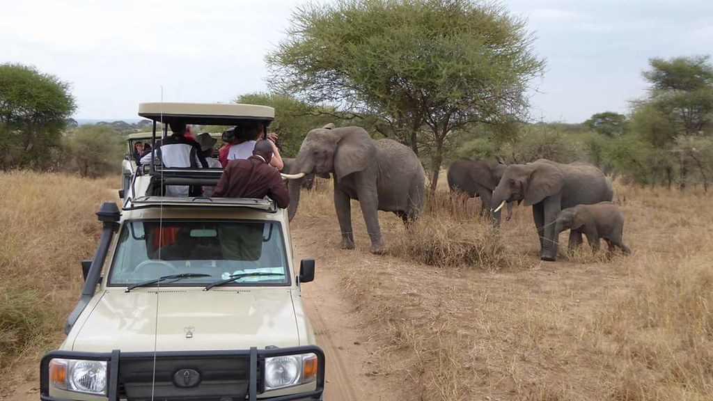 Best places to visit on Tanzania Adventure Safaris