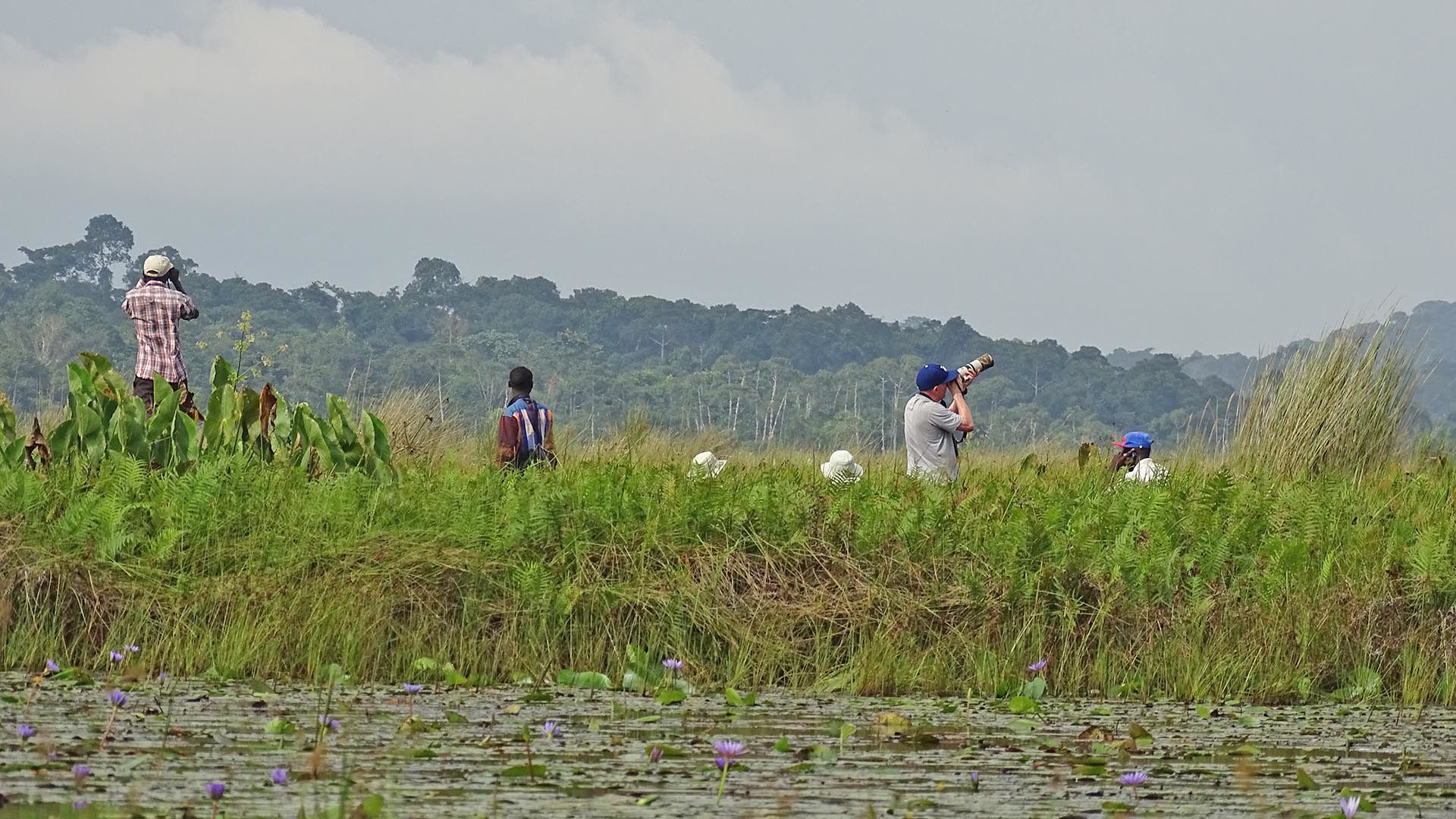 Mabamba Swamp: A Hidden Treasure