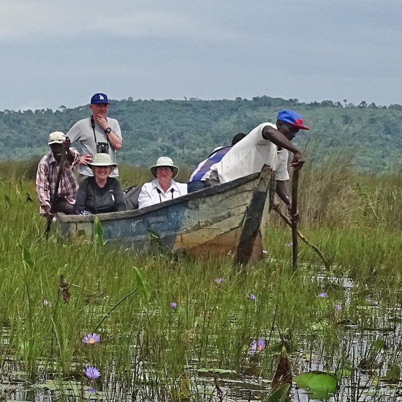 The 10 Compelling Reasons to Visit Mabamba Swamp