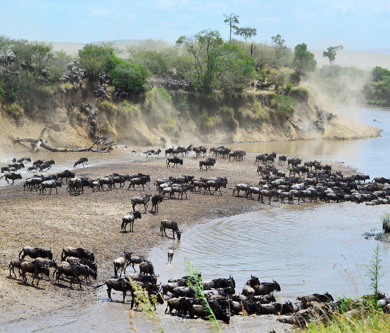 The Great Migration Safari: Witnessing Nature's Spectacle in Tanzania