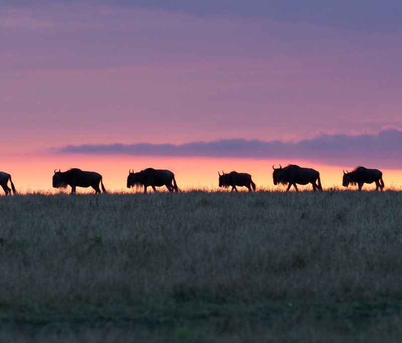What Is Kenya's Most Visited National Park?