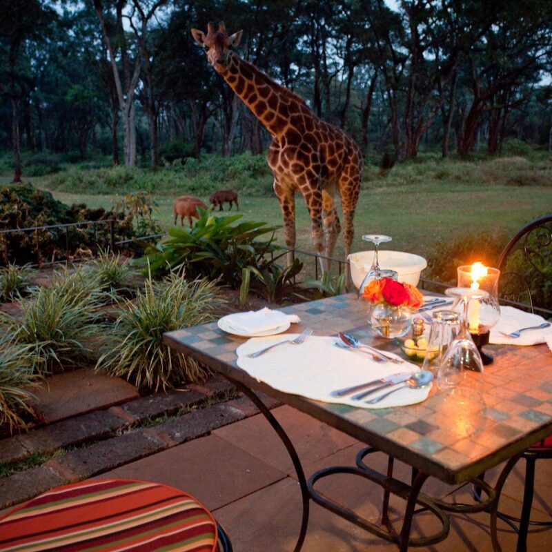 Planning a Luxury East African Safari