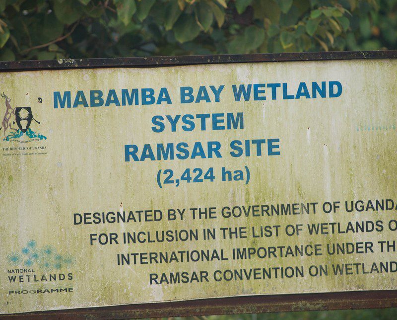 Mabamba Bay Swamp and Wetland