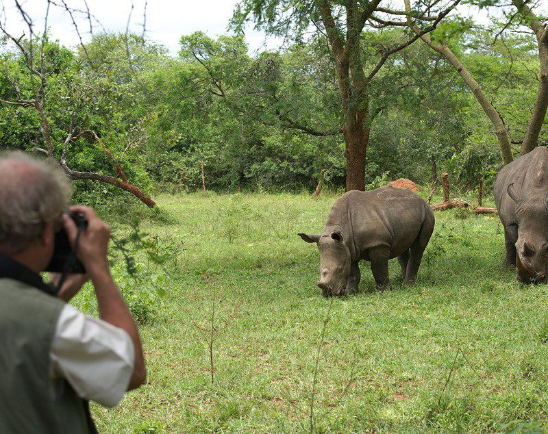 Ziwa Rhino Sanctuary: Uganda’s Rhino Tracking Destination