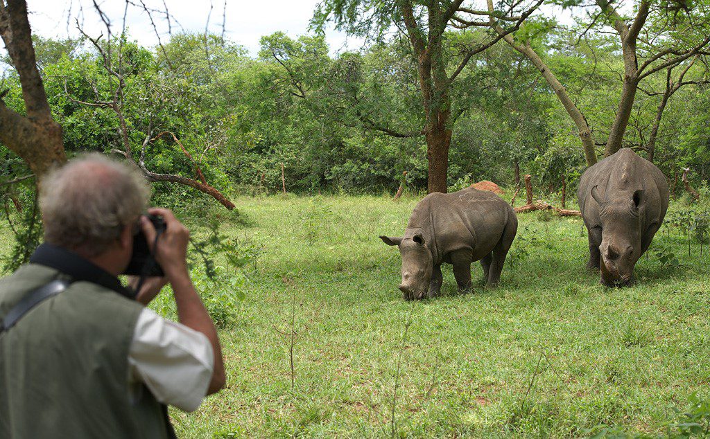 Ziwa Rhino Sanctuary: Uganda’s Rhino Tracking Destination