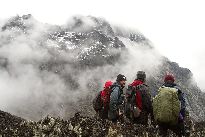 A Hiker's Journey in Uganda: Conquering the Rwenzori Mountains