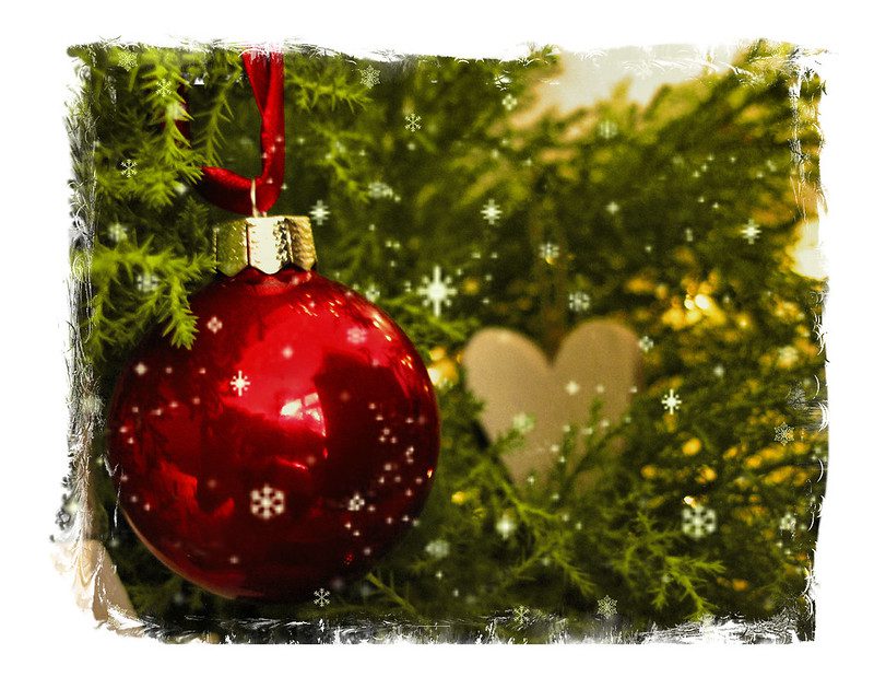 Spend your Christmas holiday in Queen Elizabeth National Park