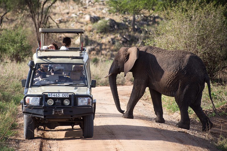 The Top 5 Must-See Destinations on a Tanzania Adventure Safari Tour