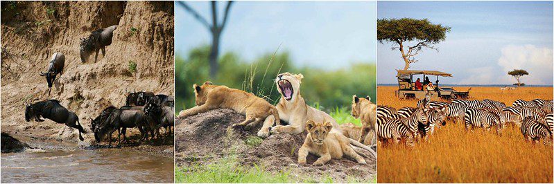 Sustainable Tanzania Adventure Safari