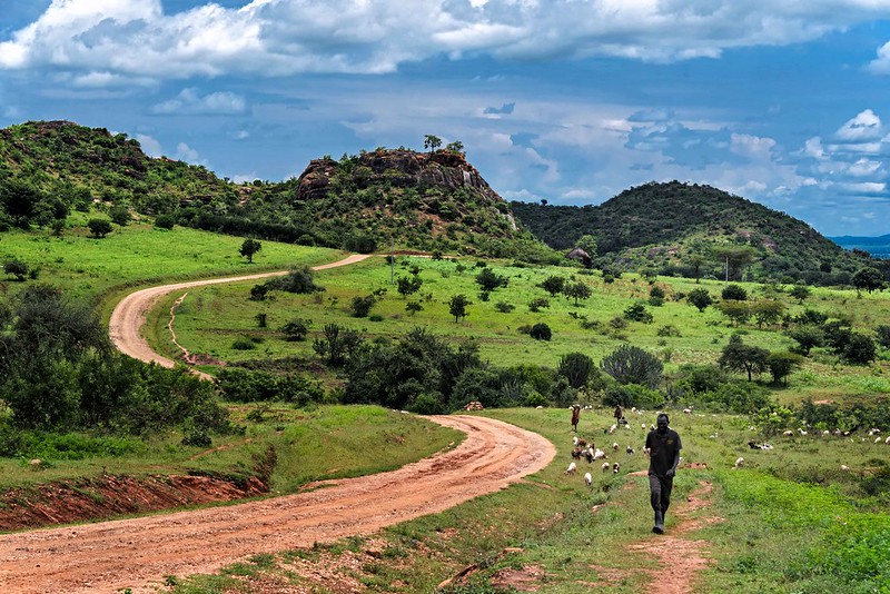 Safari destinations in Northern Uganda