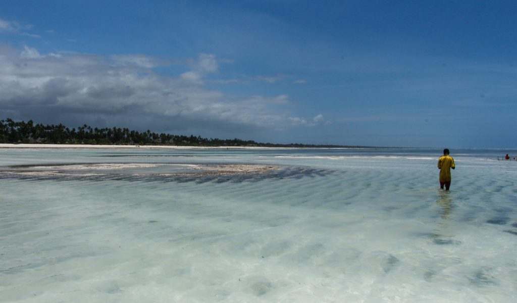 Zanzibar beach, 6 Days safari to spectacular Zanzibar Zanzibar beach, 6 Days safari to spectacular Zanzibar