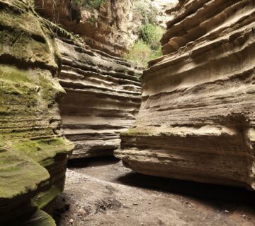 Hell's Gate National Park: Cycling Among Zebras and Gorges