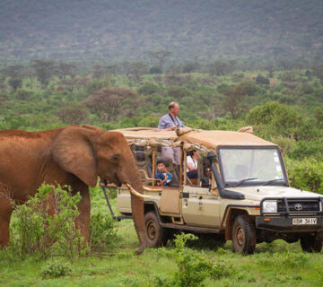 How to Stay Safe and Respectful on a Kenya Safari: Tips for Responsible Tourism