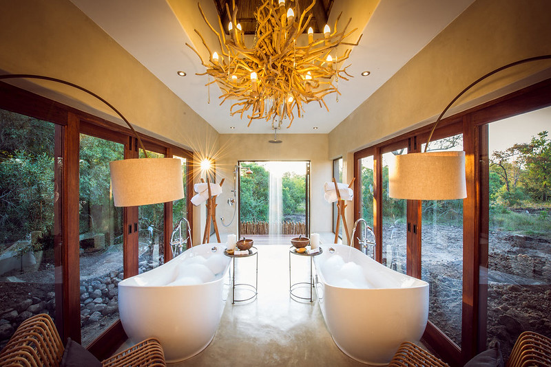 Luxury Safari Lodges in Kenya: Where to Stay for an Unforgettable Experience