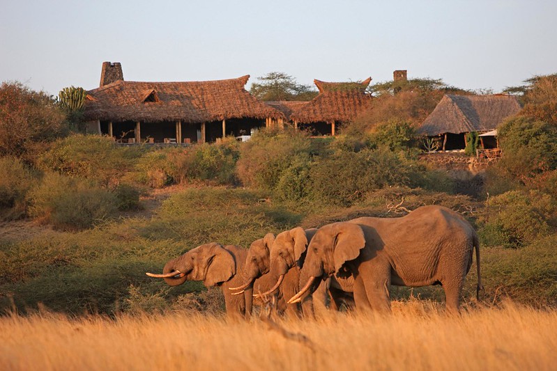 Ol Donyo Lodge: A Blend of Adventure and Comfort