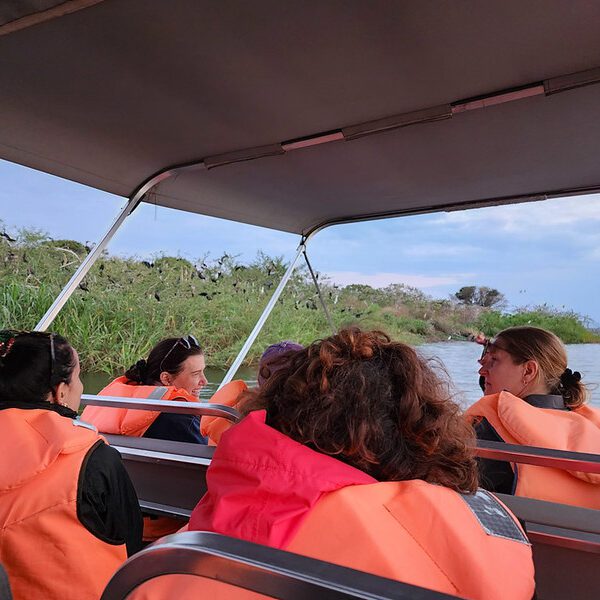 Boat Cruise Safari in Akagera National Park