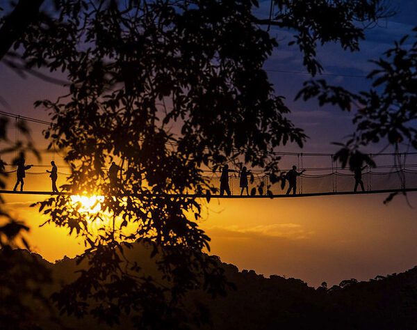 Canopy Walk Rwanda Tours