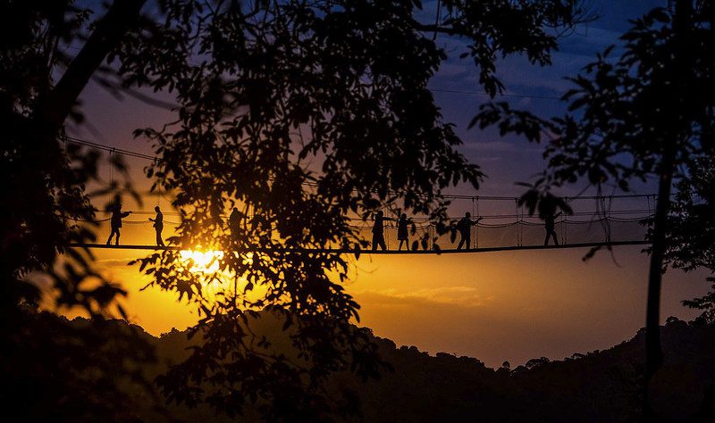 Canopy Walk Rwanda Tours