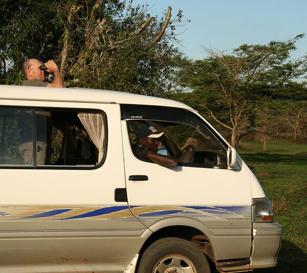 Game drives in Lake Mburo national park