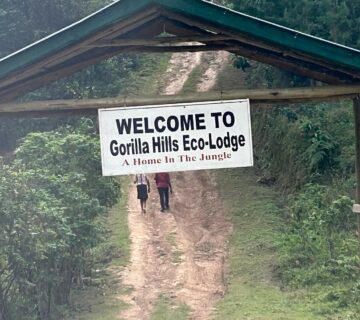 Gorilla Hills Eco Lodge