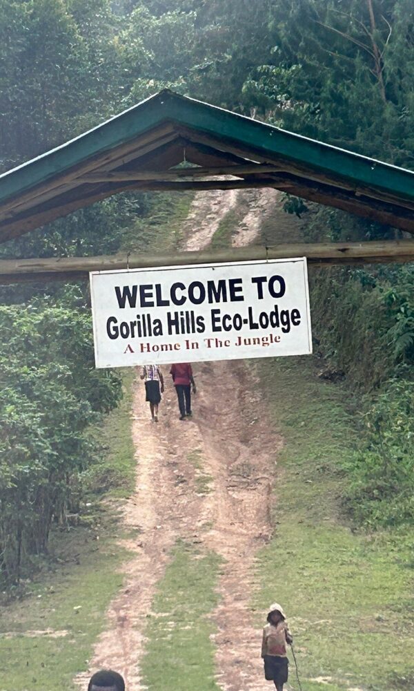 Gorilla Hills Eco Lodge