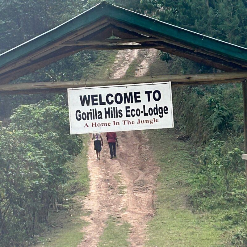 Gorilla Hills Eco Lodge Gorilla Hills Eco Lodge