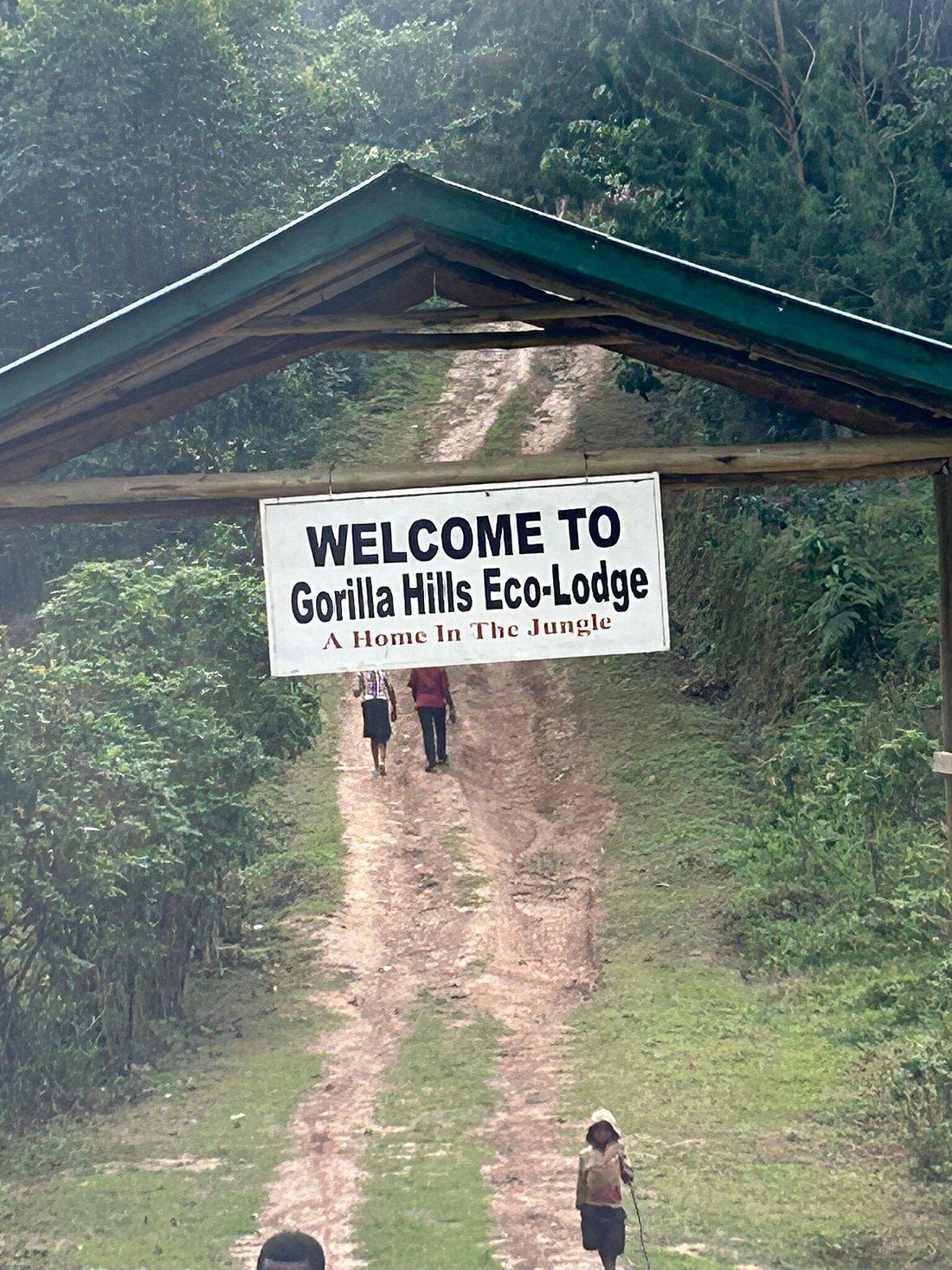 Gorilla Hills Eco Lodge