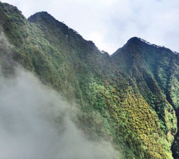 Hiking Mount Sabinyo in Mgahinga gorilla national park
