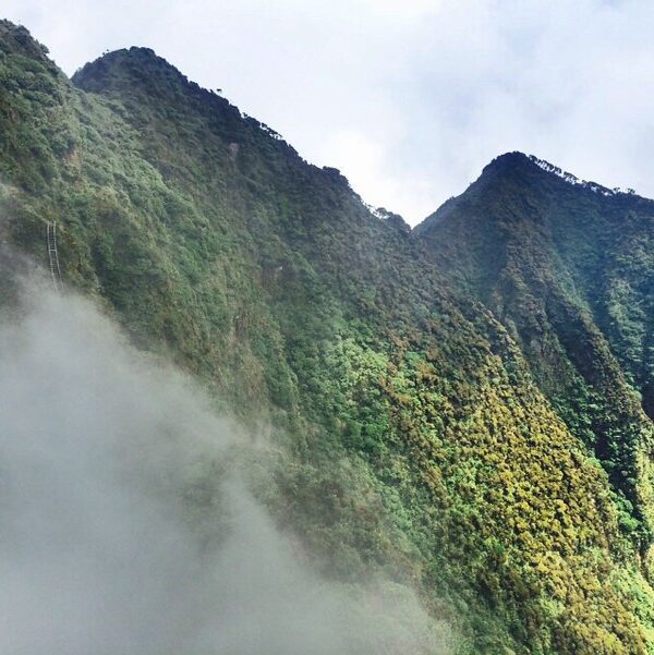 Hiking Mount Sabinyo in Mgahinga gorilla national park