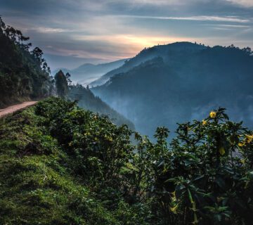 How To Get to Bwindi Impenetrable National Park