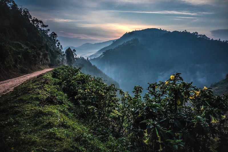 How To Get to Bwindi Impenetrable National Park