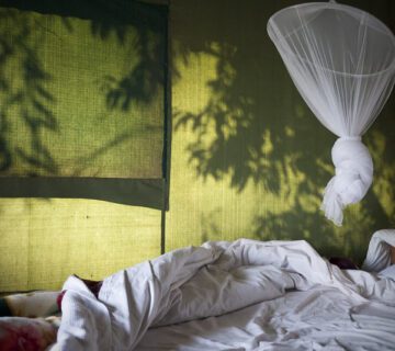 Mgahinga Gorilla National Park  Accommodations