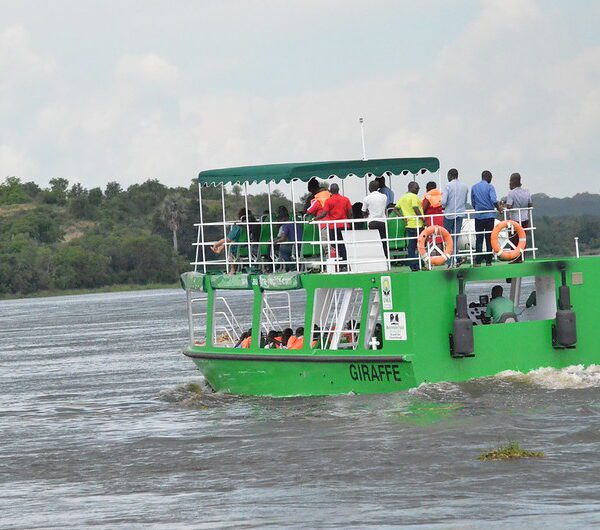 Safari Activities to do at Murchison Falls National Park