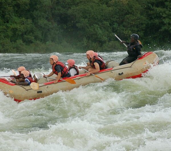 Top 8 adventure activities to do in Uganda 2025