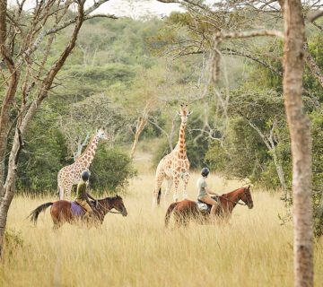 Top Done Activities and Attractions in Lake Mburo National Park