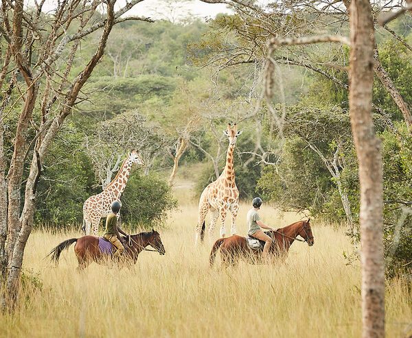 Top Done Activities and Attractions in Lake Mburo National Park