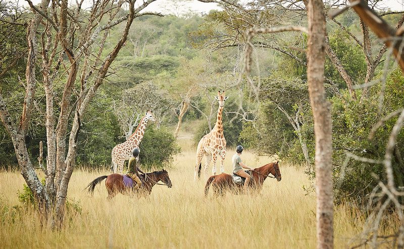 Top Done Activities and Attractions in Lake Mburo National Park