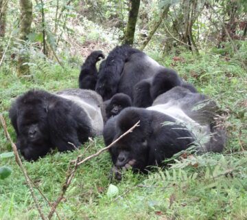 Which Is The Smallest National Park In Uganda