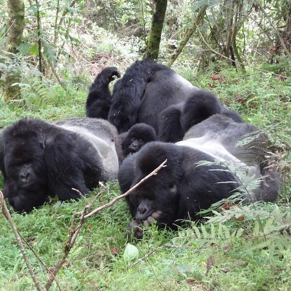Which Is The Smallest National Park In Uganda